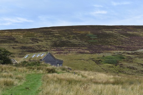 Cottascarth
